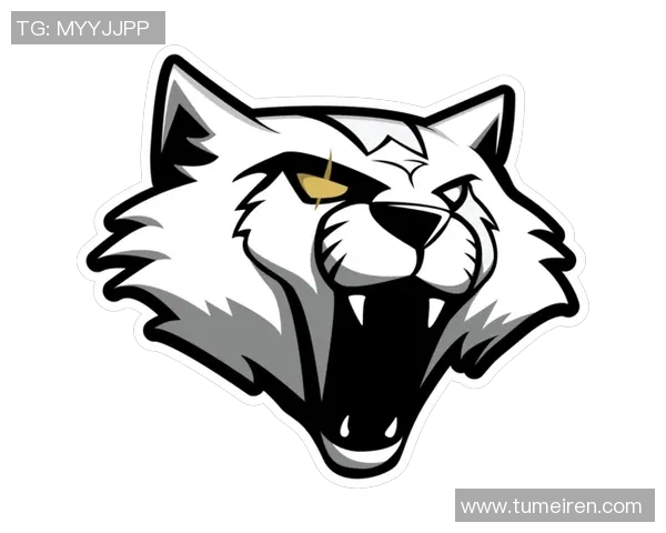 探讨FPX战队中CSGO选手的个人能力与团队协作的关系实时数据